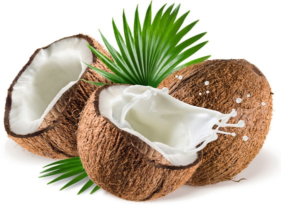 ulei de cocos ulei de cocos